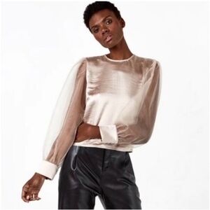 Diane Von Furstenberg Light Pink Blouse with Sheer Sleeves